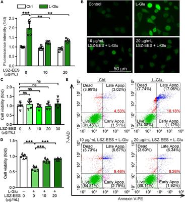 LongShengZhi Capsule Attenuates Alzheimer-Like Pathology in APP/PS1 Double Transgenic Mice by Reducing Neuronal Oxidative Stress and Inflammation